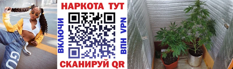 Где продают наркотики Кызыл КОКАИН  СК  Гашиш  Каннабис  ГЕРОИН  МЕФ  АМФЕТАМИН 