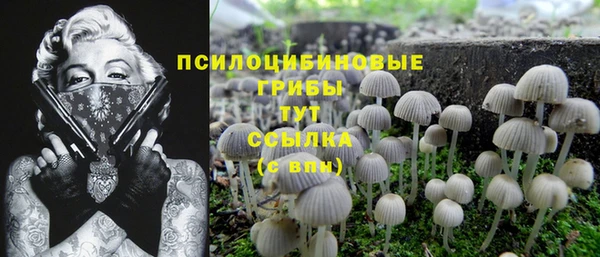ПСИЛОЦИБИНОВЫЕ ГРИБЫ Абдулино