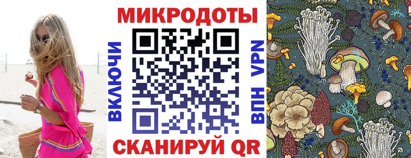 Галлюциногенные грибы мухоморы  Кызыл 